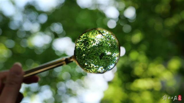 媒体：美俄核军控＂开天窗＂ 可能比冷战时期更可怕