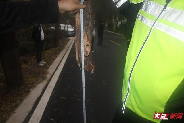 教师驾车发生＂三方事故＂致两女童身亡 6年后申请再审