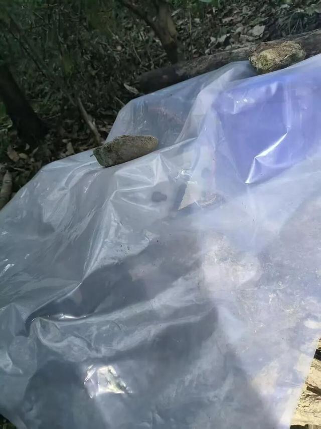 54岁男子上山祭祖 遇非法捕猎设备触电身亡